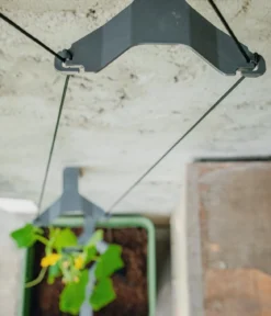 Gusta Garden Gurken-Topf Curt Cucumber, ca. B35/H138/T28 cm