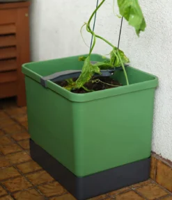 Gusta Garden Gurken-Topf Curt Cucumber, ca. B35/H138/T28 cm