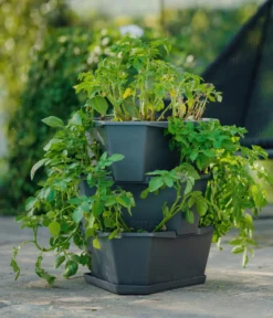 Gusta Garden Kartoffelturm Paul Potato Starter, 3 Etagen, ca. B44/H50/T44 cm