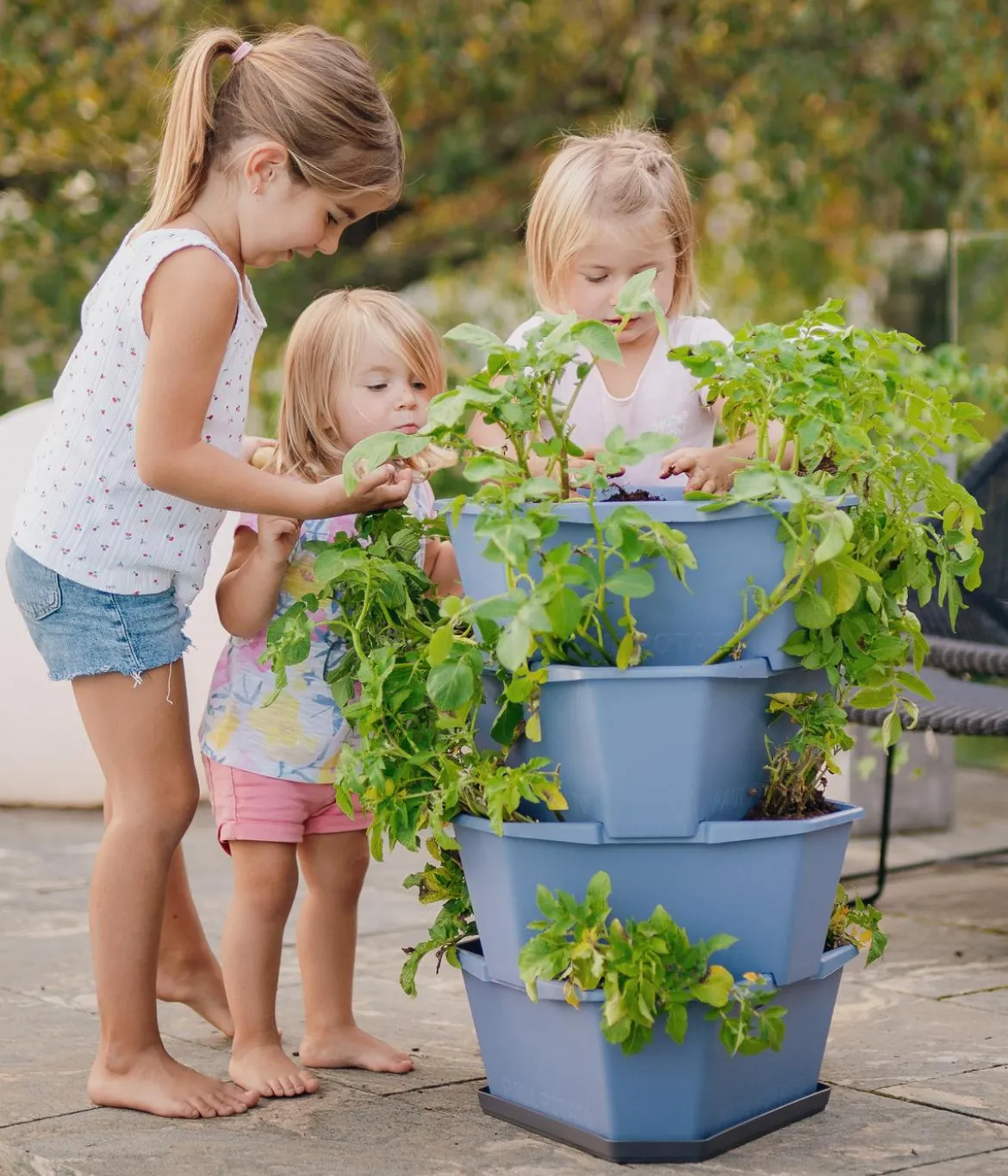 Gusta Garden Kartoffelturm Paul Potato Starter, 4 Etagen, ca. B44/H65/T44 cm