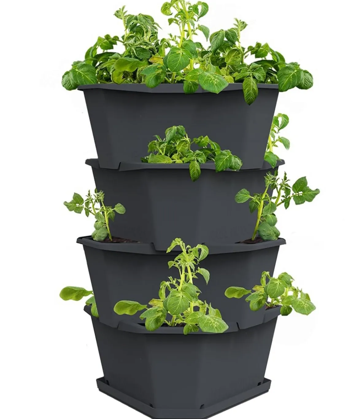 Gusta Garden Kartoffelturm Paul Potato Starter, 4 Etagen, ca. B44/H65/T44 cm