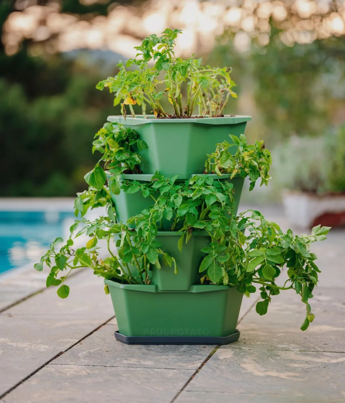 Gusta Garden Kartoffelturm Paul Potato Starter, 4 Etagen, ca. B44/H65/T44 cm