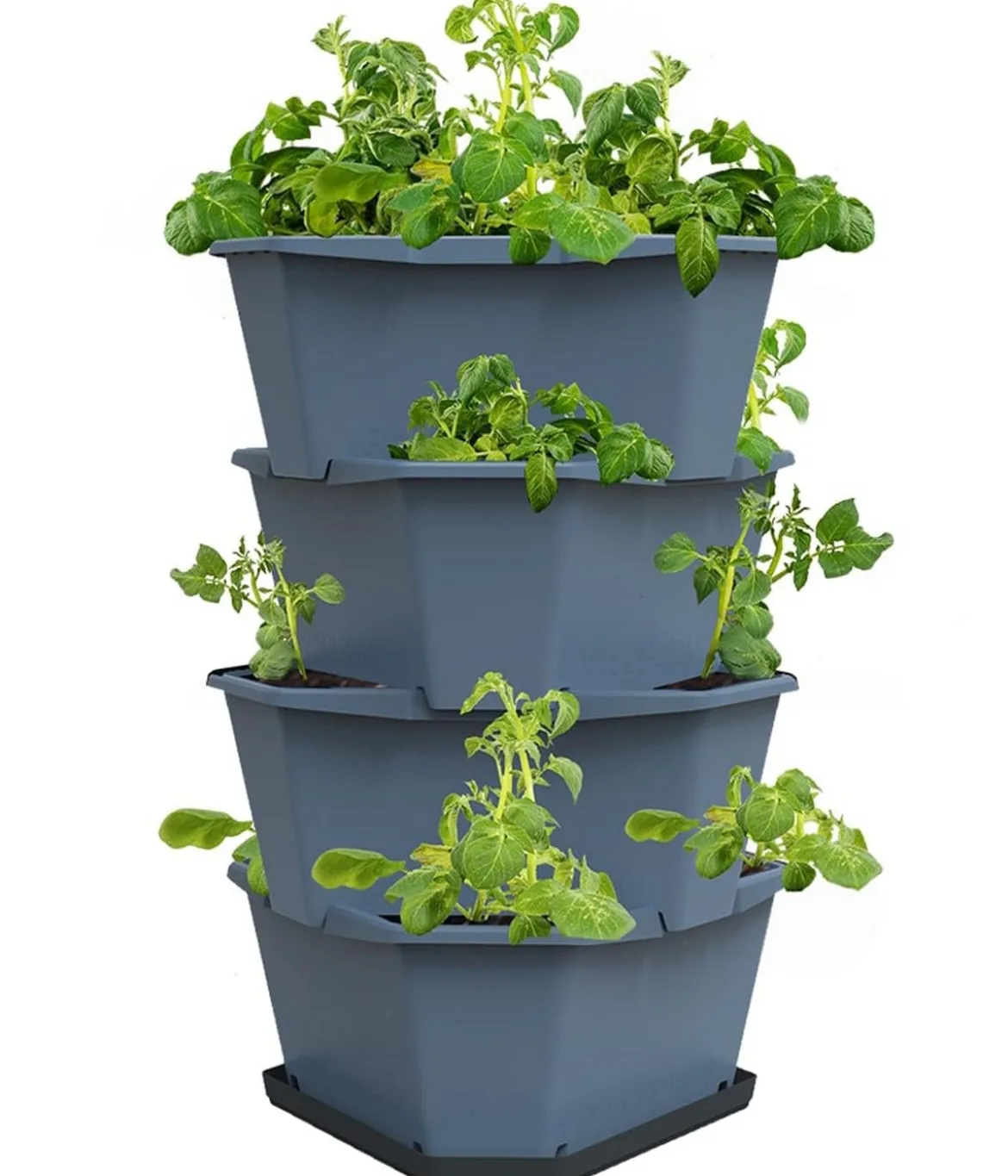 Gusta Garden Kartoffelturm Paul Potato Starter, 4 Etagen, ca. B44/H65/T44 cm