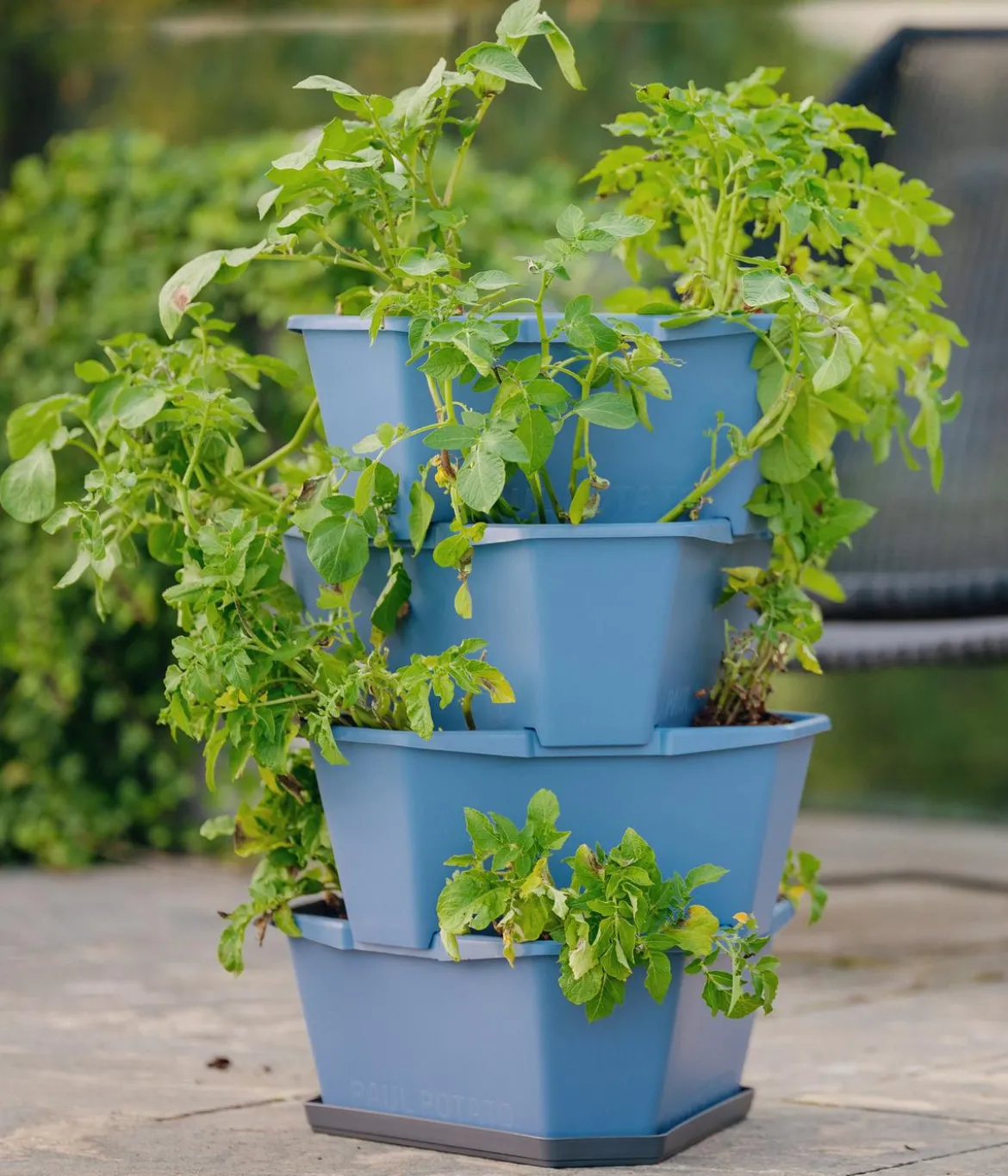 Gusta Garden Kartoffelturm Paul Potato Starter, 4 Etagen, ca. B44/H65/T44 cm
