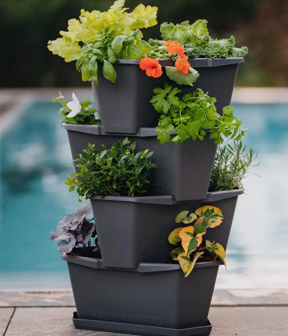 Gusta Garden Kartoffelturm Paul Potato Starter, 4 Etagen, ca. B44/H65/T44 cm