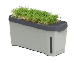 Gusta Garden Kräutertopf Harry Herbs, ca. B36/H16/T15 cm