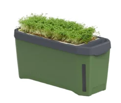 Gusta Garden Kräutertopf Harry Herbs, ca. B36/H16/T15 cm