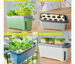 Gusta Garden Kräutertopf Harry Herbs, ca. B36/H16/T15 cm