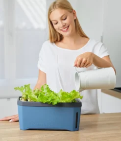 Gusta Garden Kräutertopf Harry Herbs, ca. B36/H16/T15 cm