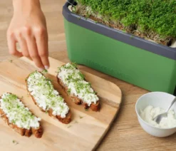 Gusta Garden Kräutertopf Harry Herbs, ca. B36/H16/T15 cm