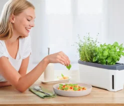 Gusta Garden Kräutertopf Harry Herbs, ca. B36/H16/T15 cm
