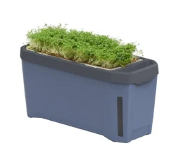 Gusta Garden Kräutertopf Harry Herbs, ca. B36/H16/T15 cm
