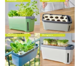 Gusta Garden Kräutertopf Harry Herbs, ca. B36/H16/T15 cm