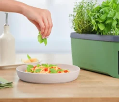 Gusta Garden Kräutertopf Harry Herbs, ca. B36/H16/T15 cm