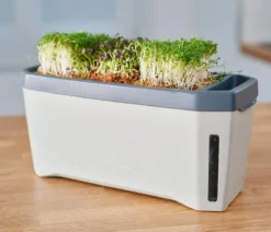Gusta Garden Kräutertopf Harry Herbs, ca. B36/H16/T15 cm