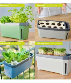 Gusta Garden Kräutertopf Harry Herbs, ca. B36/H16/T15 cm