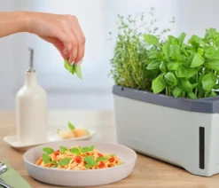 Gusta Garden Kräutertopf Harry Herbs, ca. B36/H16/T15 cm