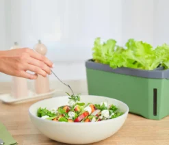 Gusta Garden Kräutertopf Harry Herbs, ca. B36/H16/T15 cm