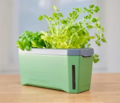 Gusta Garden Kräutertopf Harry Herbs, ca. B36/H16/T15 cm