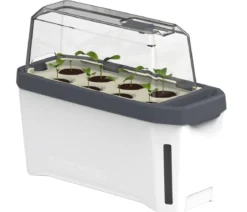 Gusta Garden Kräutertopf Harry Herbs mit Anzuchthaube, ca. B36/H25/T15 cm