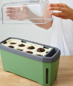 Gusta Garden Kräutertopf Harry Herbs mit Anzuchthaube, ca. B36/H25/T15 cm