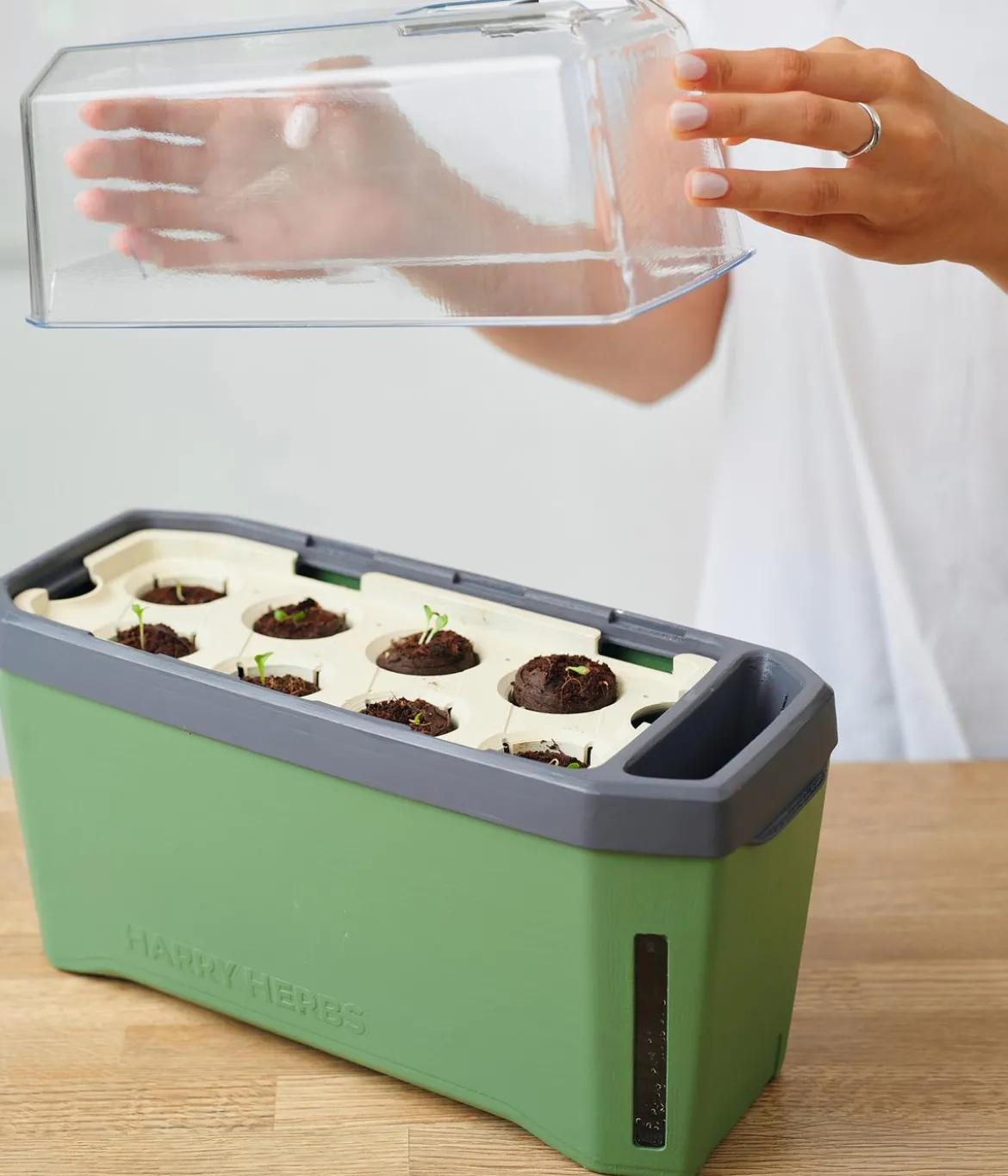 Gusta Garden Kräutertopf Harry Herbs mit Anzuchthaube, ca. B36/H25/T15 cm