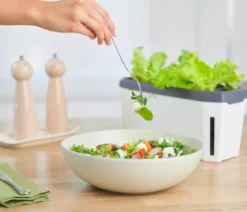 Gusta Garden Kräutertopf Harry Herbs mit Anzuchthaube, ca. B36/H25/T15 cm