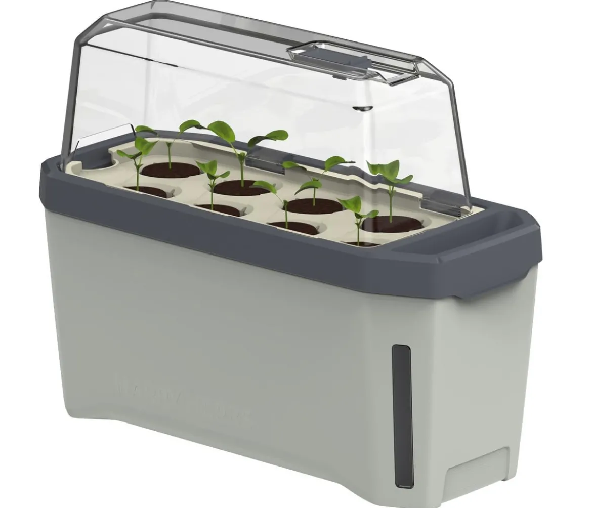 Gusta Garden Kräutertopf Harry Herbs mit Anzuchthaube, ca. B36/H25/T15 cm