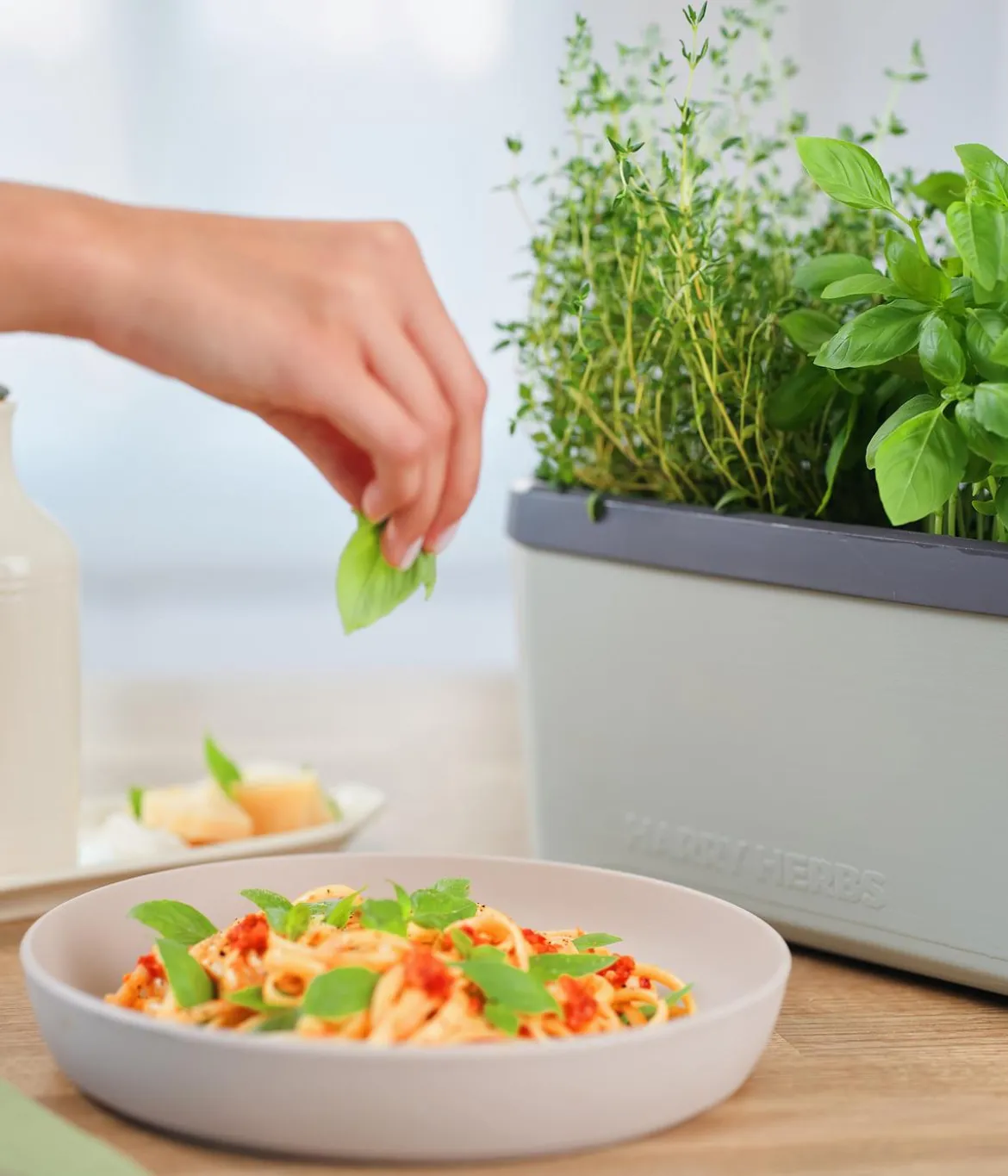 Gusta Garden Kräutertopf Harry Herbs mit Anzuchthaube, ca. B36/H25/T15 cm