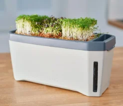 Gusta Garden Kräutertopf Harry Herbs mit Anzuchthaube, ca. B36/H25/T15 cm
