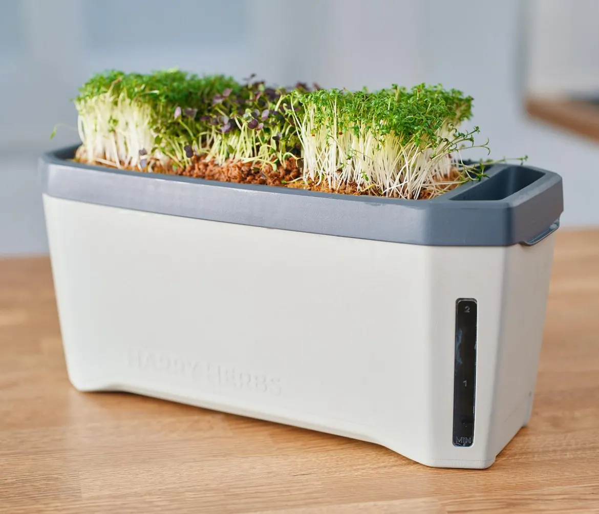 Gusta Garden Kräutertopf Harry Herbs mit Anzuchthaube, ca. B36/H25/T15 cm