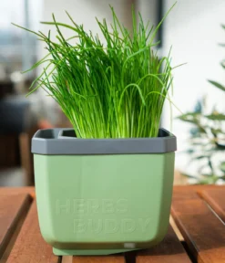 Gusta Garden Kräutertopf Herbs Buddy, ca. B16/H14/T14 cm