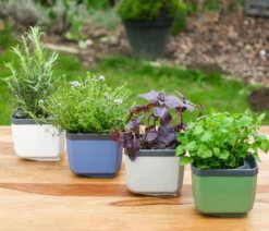 Gusta Garden Kräutertopf Herbs Buddy, ca. B16/H14/T14 cm