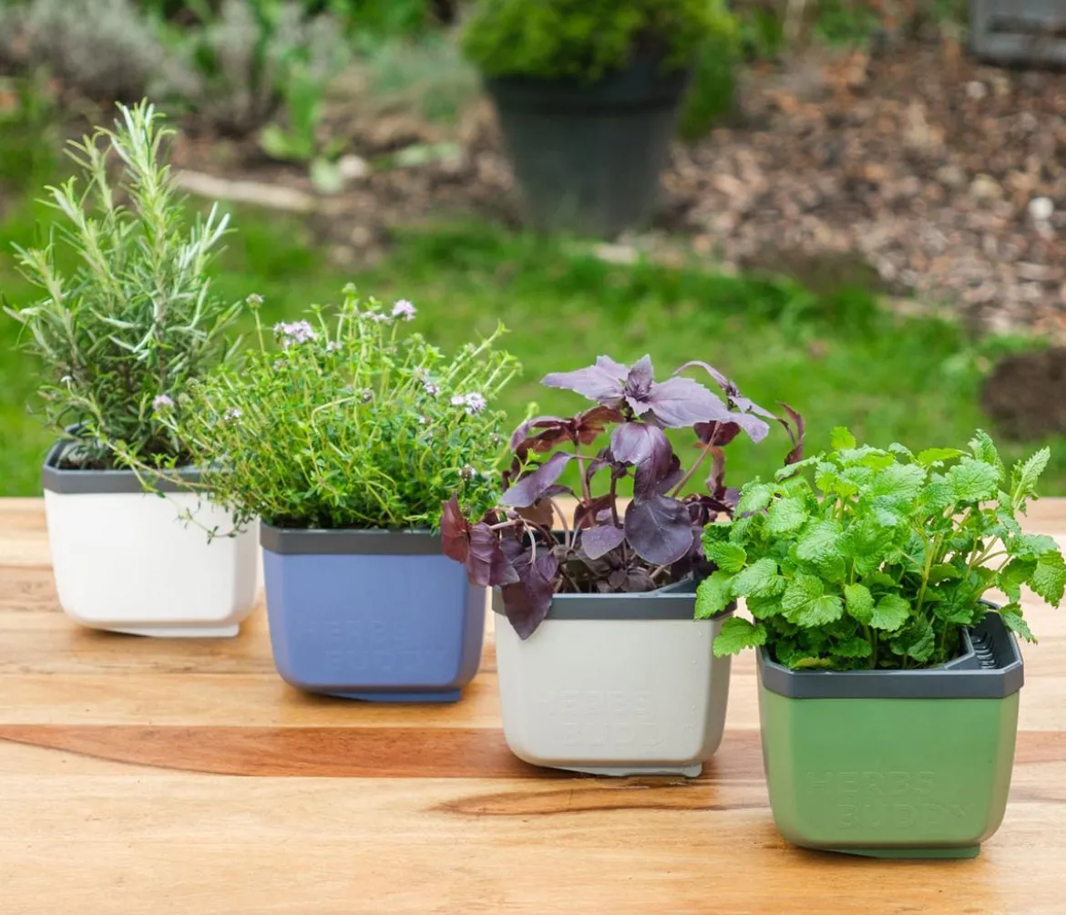 Gusta Garden Kräutertopf Herbs Buddy, ca. B16/H14/T14 cm