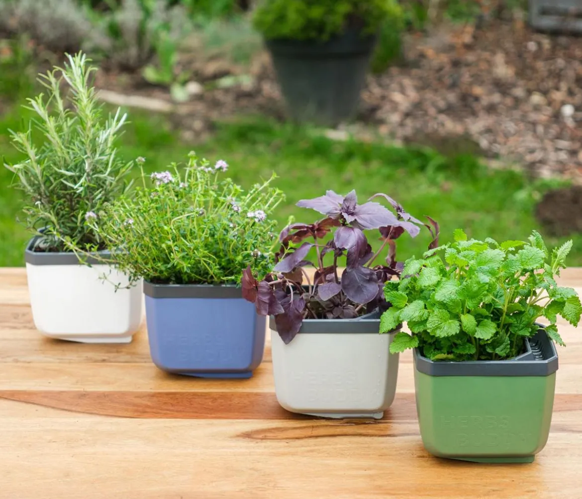 Gusta Garden Kräutertopf Herbs Buddy, ca. B16/H14/T14 cm