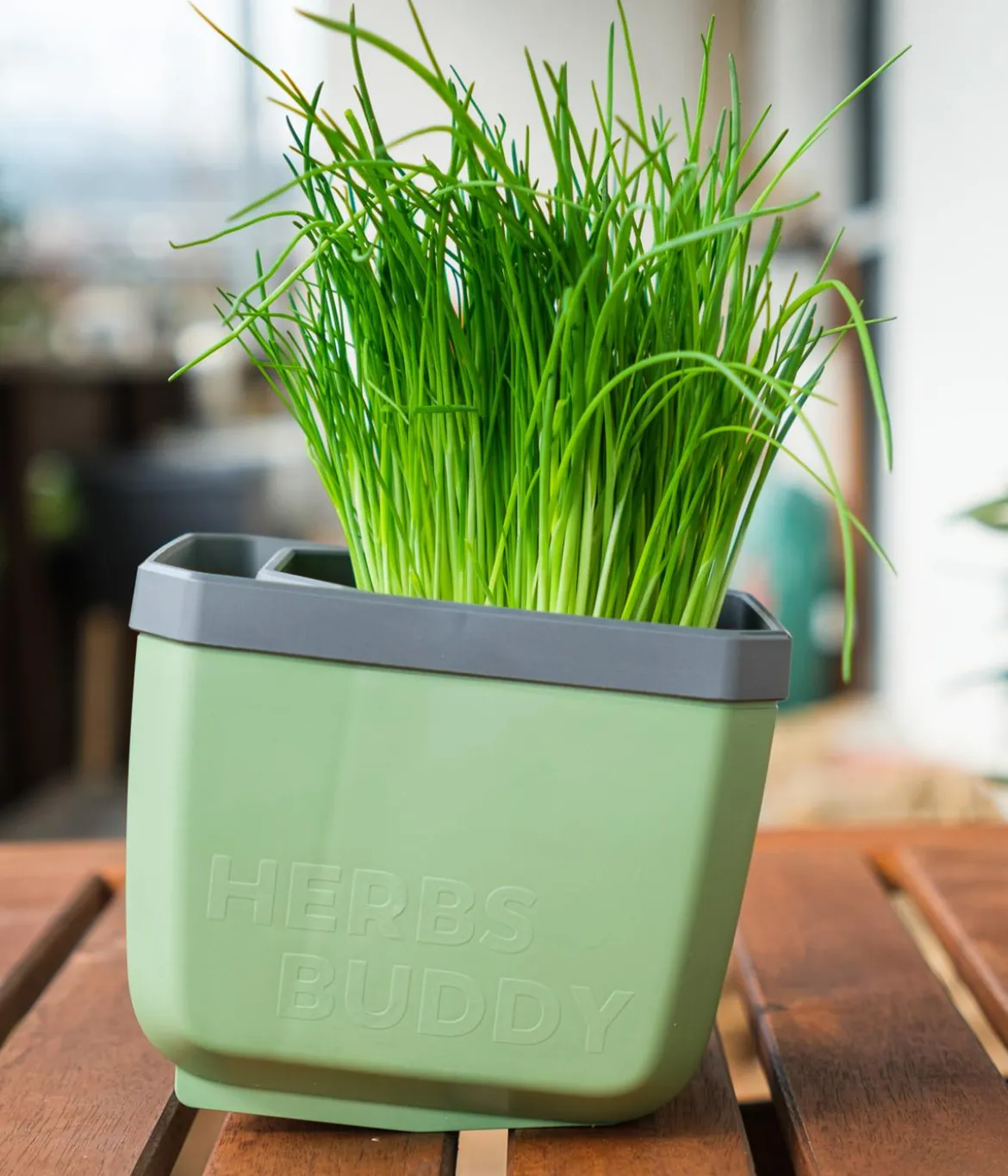 Gusta Garden Kräutertopf Herbs Buddy, ca. B16/H14/T14 cm