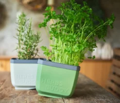 Gusta Garden Kräutertopf Herbs Buddy, ca. B16/H14/T14 cm