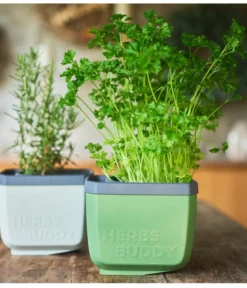 Gusta Garden Kräutertopf Herbs Buddy, ca. B16/H14/T14 cm