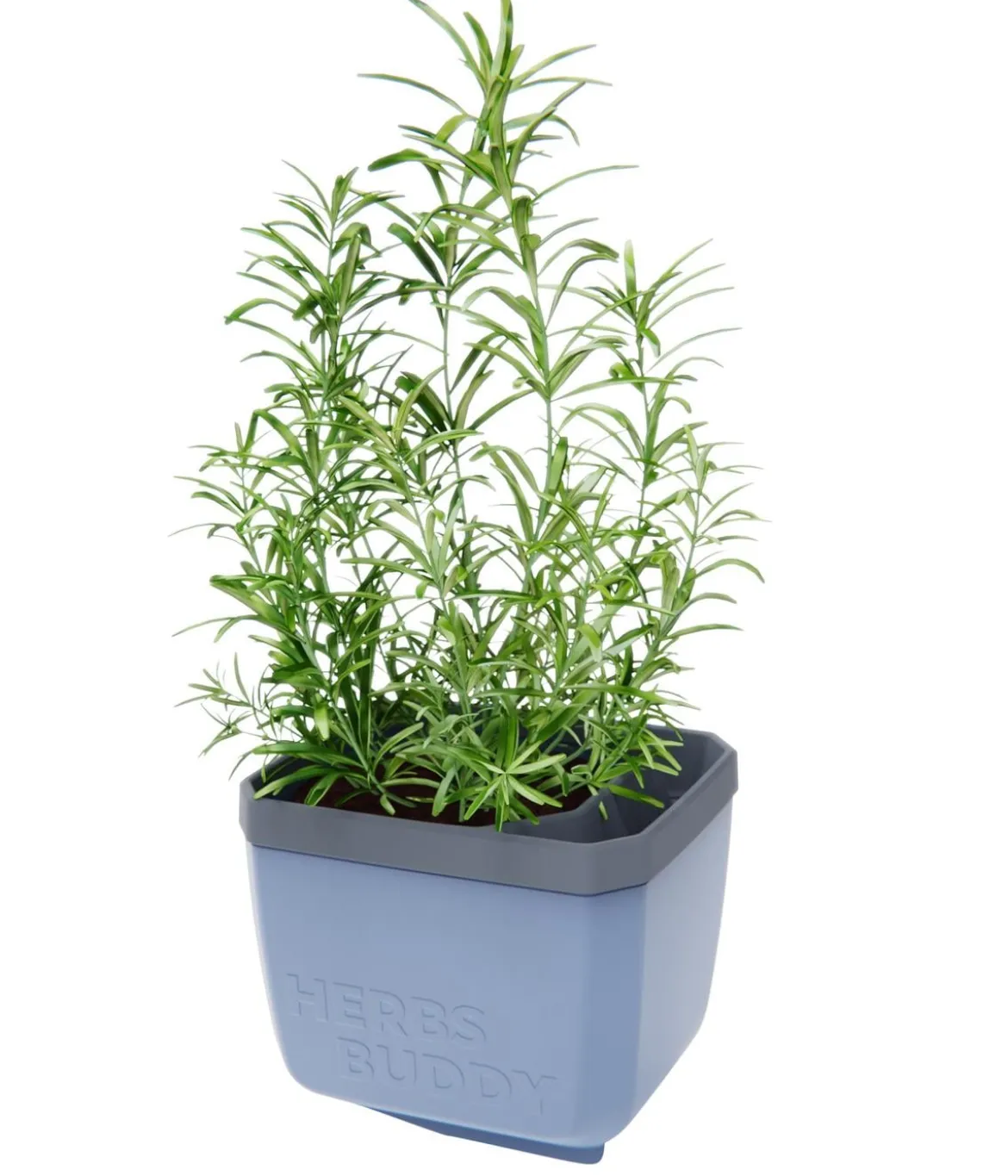 Gusta Garden Kräutertopf Herbs Buddy, ca. B16/H14/T14 cm