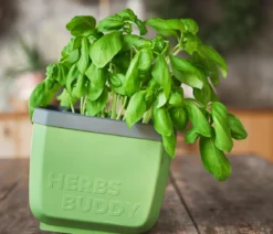 Gusta Garden Kräutertopf Herbs Buddy, ca. B16/H14/T14 cm, 3er-Set