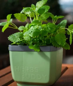 Gusta Garden Kräutertopf Herbs Buddy, ca. B16/H14/T14 cm, 3er-Set