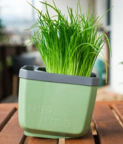 Gusta Garden Kräutertopf Herbs Buddy, ca. B16/H14/T14 cm, 3er-Set