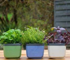 Gusta Garden Kräutertöpfe Herbs Buddy, ca. B19/H14,3/T13,6 cm, 3er-Set