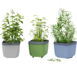 Gusta Garden Kräutertöpfe Herbs Buddy, ca. B19/H14,3/T13,6 cm, 3er-Set