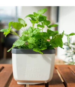 Gusta Garden Kräutertöpfe Herbs Buddy, ca. B19/H14,3/T13,6 cm, 3er-Set