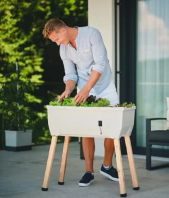 Gusta Garden Mini-Hochbeet Sammy Salad, ca. B79/H75/T37,5 cm