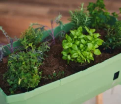 Gusta Garden Mini-Hochbeet Sammy Salad, ca. B79/H75/T37,5 cm
