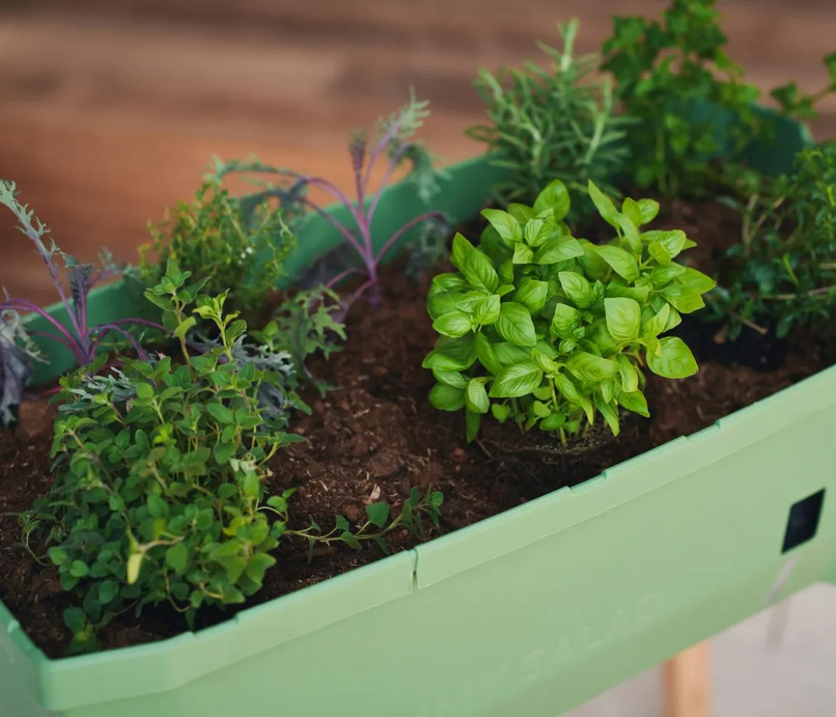 Gusta Garden Mini-Hochbeet Sammy Salad, ca. B79/H75/T37,5 cm