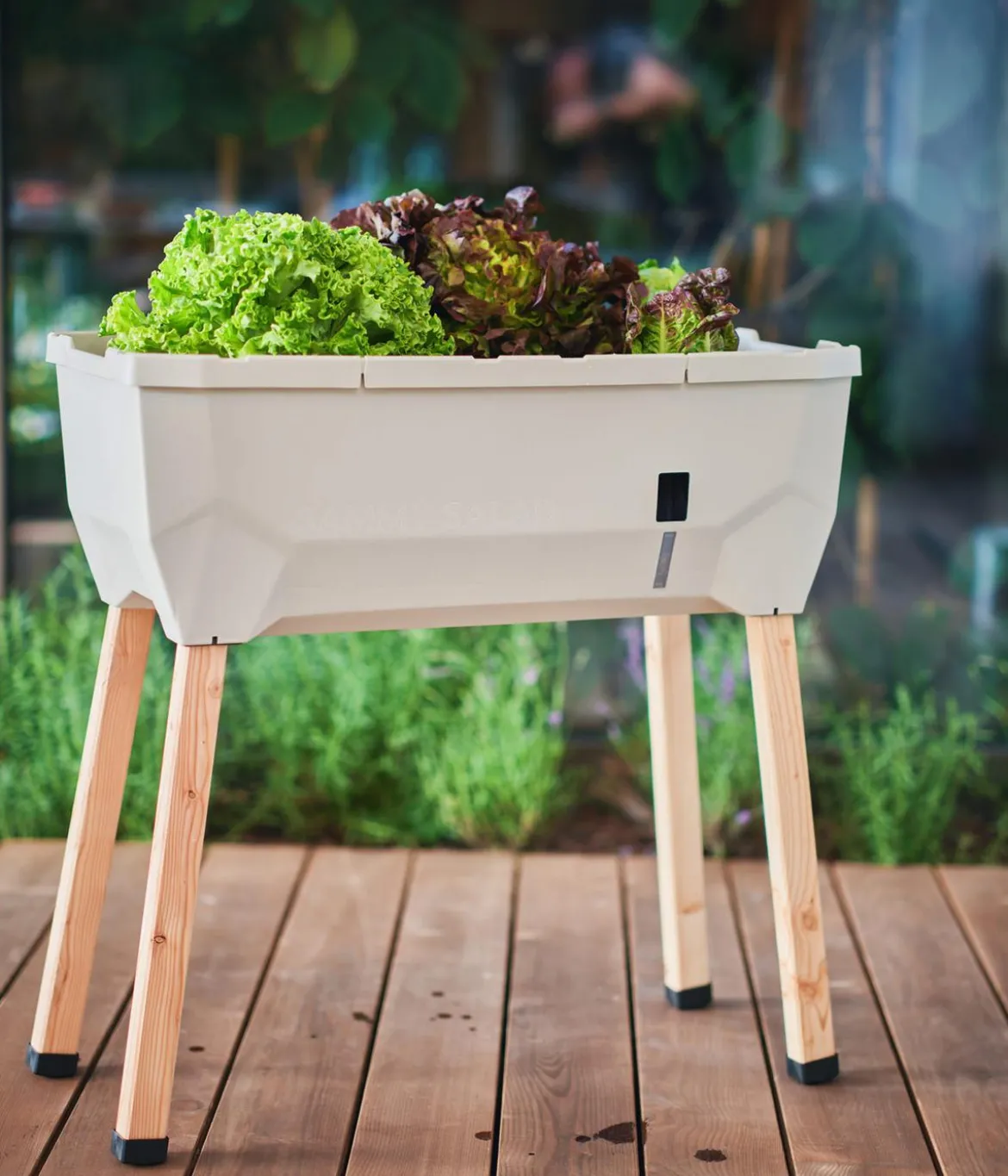 Gusta Garden Mini-Hochbeet Sammy Salad, ca. B79/H75/T37,5 cm
