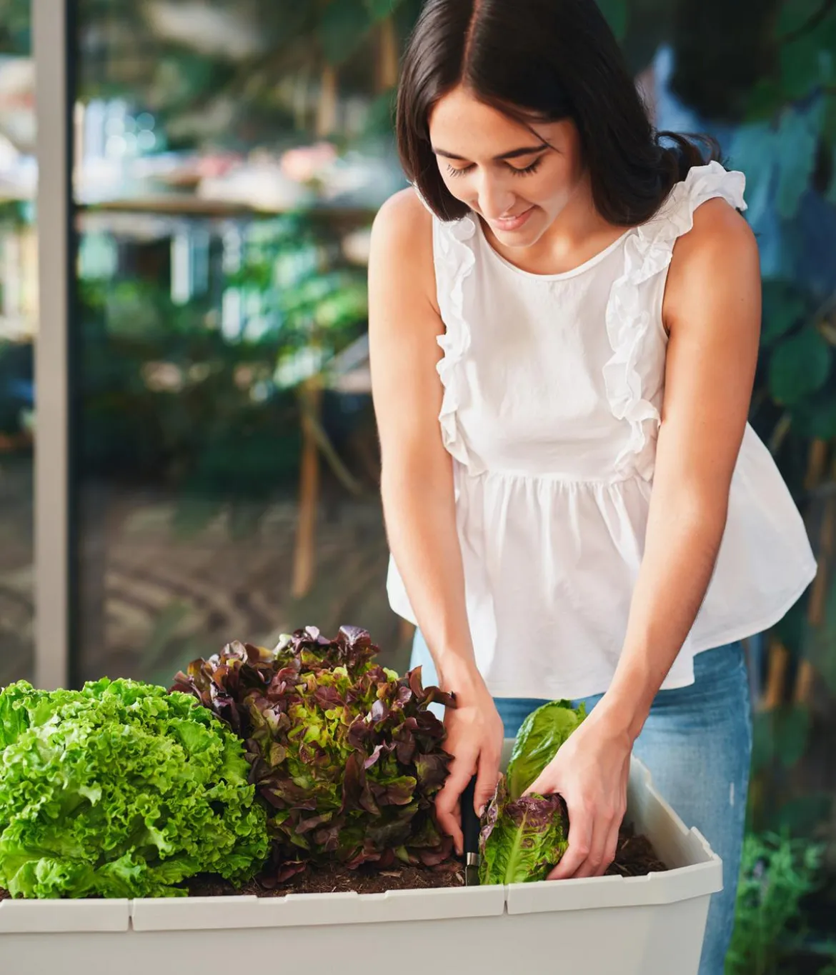 Gusta Garden Mini-Hochbeet Sammy Salad, ca. B79/H75/T37,5 cm